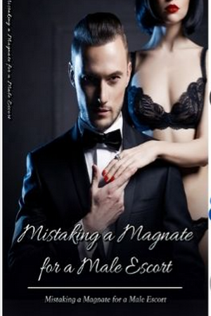 Mistaking a Magnate for a Male Escort