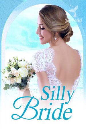 Silly Bride novel (Winnie and Xavier)